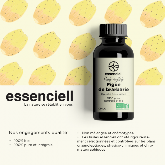 Organic Prickly Pear Seed Oil – Essentials By Noel