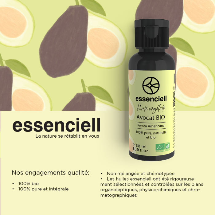 Avocat BIO