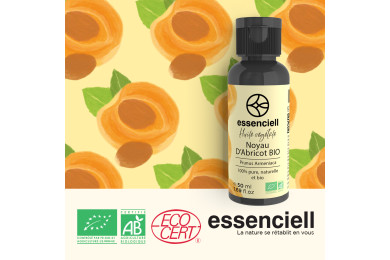Organic Apricot Kernel Organic Apricot Kernel
