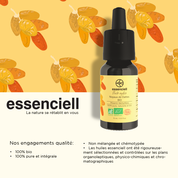 Noyau de Datte BIO