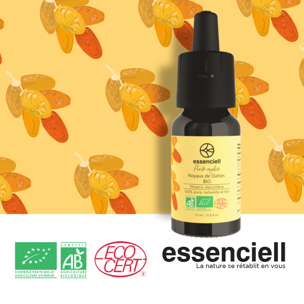 Noyau de Datte BIO