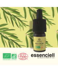 Organic Ylang Ylang Organic Ylang Ylang