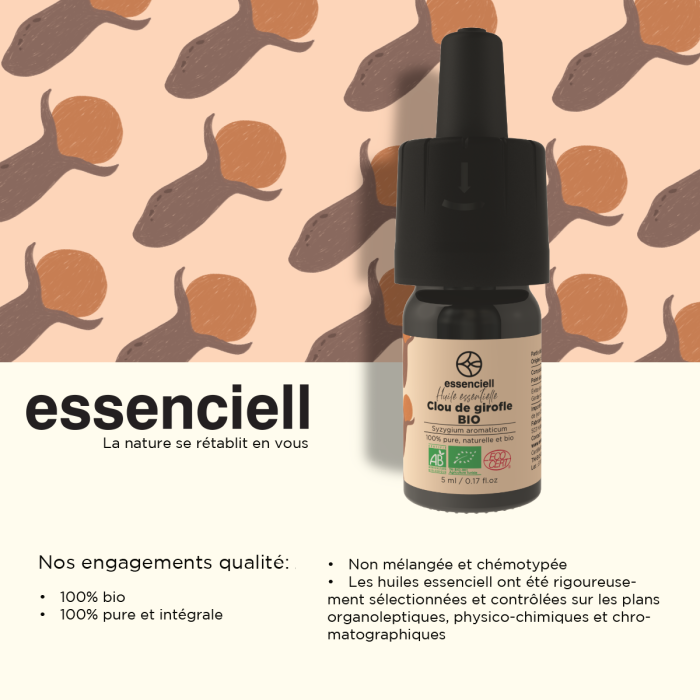 Organic Clove Organic Clove