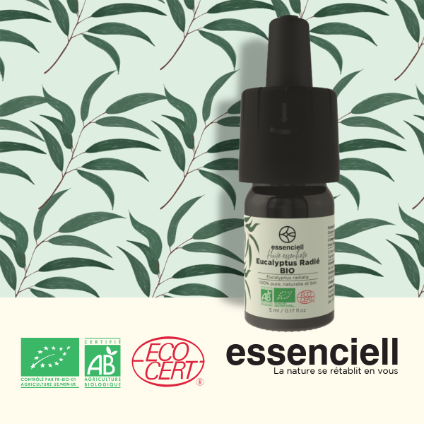 Eucalyptus Radié BIO