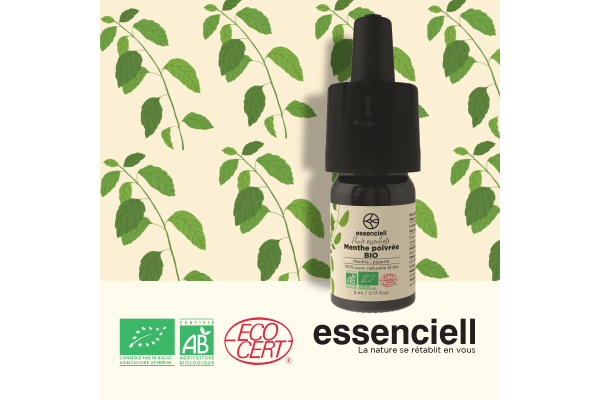 Organic peppermint Organic peppermint