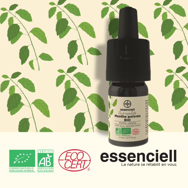 Menthe Poivrée BIO